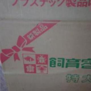 プラスチック水槽　5個　未使用品！の画像