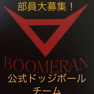 調布市　世田谷区　公式ドッジボール チーム【八幡山BOOMERAN】