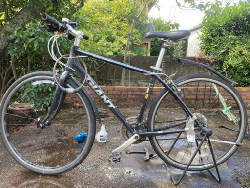 Giant Escape R3 2018？　ブラックトーン　中古　Sサイズ