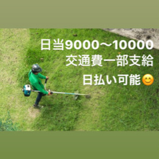 ☆草刈り業務☆ 人手が足りず困っています！！