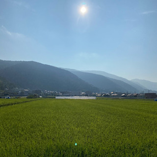 ウォーキング仲間募集🏃‍♂️ - 松本市