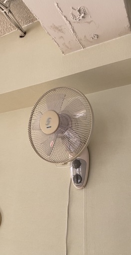 壁掛け扇風機（3台）