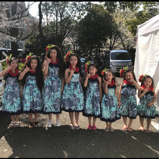 フラダンス教室 Kaupili hula studio メンバー大募集！の画像