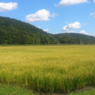 【衣食住より食衣住】農業で日本再興！