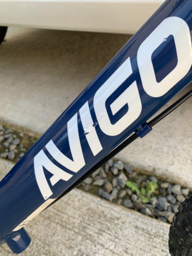 AVIGO2台