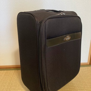 キャリーバッグ　差し上げますの画像