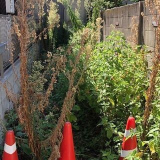 ★草むしりのお手伝い★