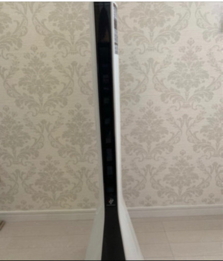 スリムイオンファン pf-ftc1