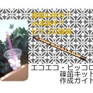 エコエコ・ピッコロ篠笛　チャレンジ工作キット★携帯、余興用に★※ペーパレス版の画像