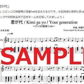 エコエコ・ピッコロ篠笛　チャレンジ工作キット★携帯、余興用に★※ペーパレス版の画像