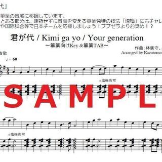 エコエコ篳篥/分離型 チャレンジ工作キット★入門・練習用に★※ペーパレス版の画像