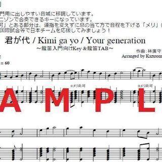 エコエコ龍笛　チャレンジ工作キット★入門・練習・挑戦用に★※ペーパレス版の画像
