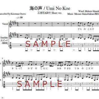 エコエコ三線　工作キット　～夏休み工作・練習用にどうぞ～の画像