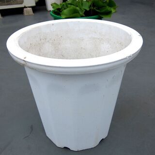 プラ植木鉢１０号