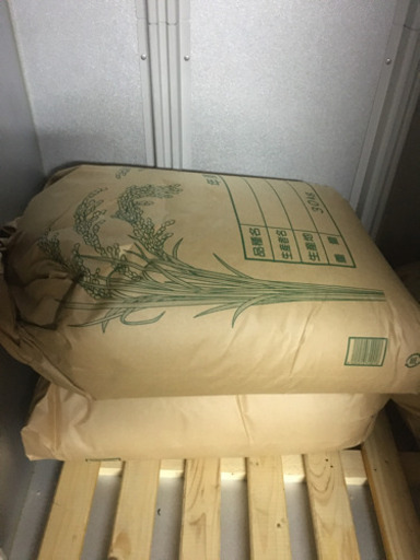 米　コシヒカリ　玄米30kg 令和元年　2袋