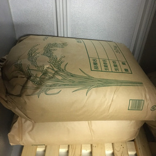 米　コシヒカリ　玄米30kg 令和元年　2袋