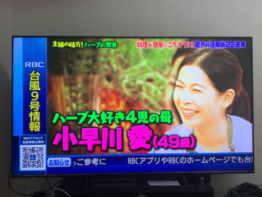 【市内配達可】65型４K REGZA Neo搭載2020年モデル