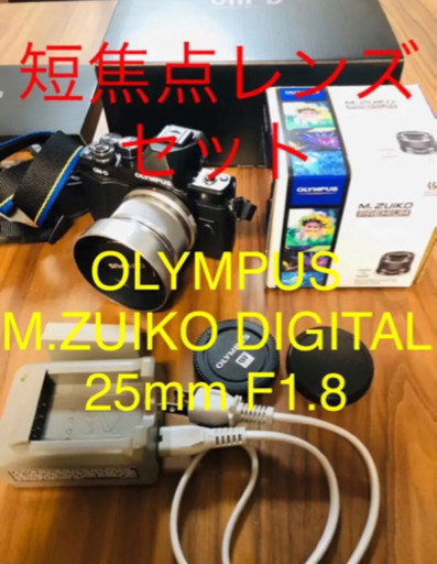 超美品　OLYMPUS ミラーレス一眼 OM-D E-M10 MarkII