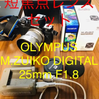 超美品　OLYMPUS ミラーレス一眼 OM-D E-M10 MarkII