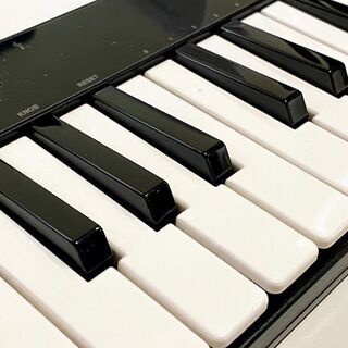 USB MIDIキーボード IK MULTIMEDIA iRig KEYS 25の画像