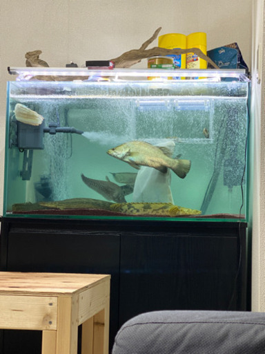 GEX 90㎝　水槽　水槽台　キャビネット　セット