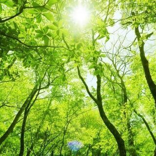 ヒーラーアカデミー事前講座５種