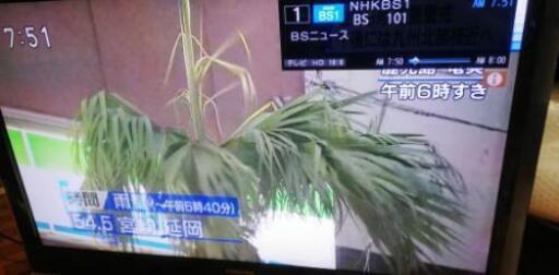 早い者勝ち  37Z1S  LED 訳あり