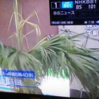 早い者勝ち  37Z1S  LED 訳あり