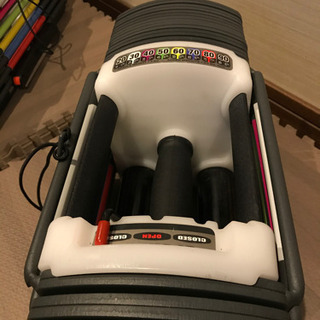 可変式ダンベル 約41kg ×2 (おまけ付き)