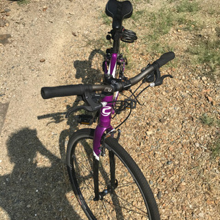 キャノンディール　紫の画像