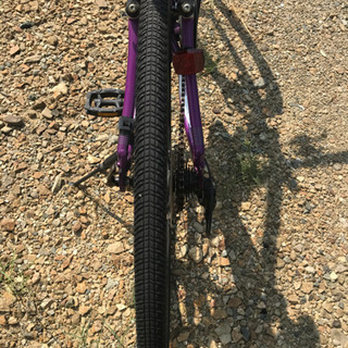 キャノンディール　紫の画像