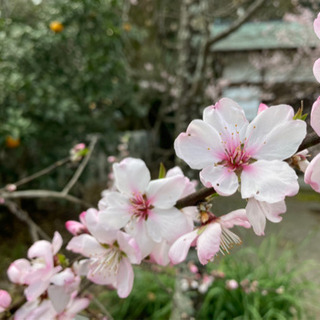 幸せで、幸せで、どうしようもないくらいのお金持ちの集まるセミナー会