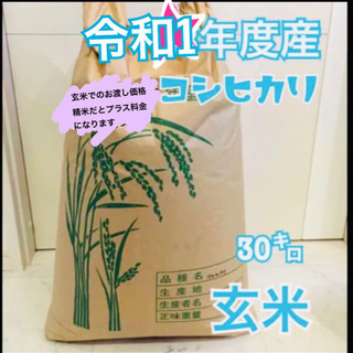 コシヒカリ30キロ※残り1袋