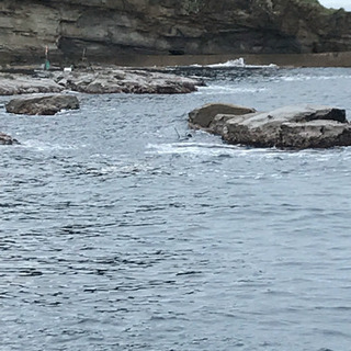 釣り仲間募集中！