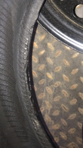 タイヤのみ4本　ラジアル