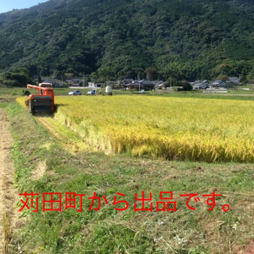 令和2年産　夢つくし　玄米　30kg白川米