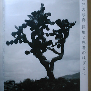岡本太郎の写真 採集と思考のはざまに