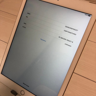 iPad 5th セルラータイプ　#165
