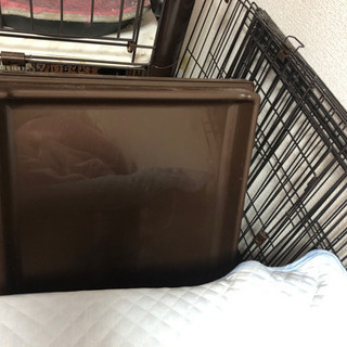 【値下げなし】犬 ケージ☆の画像