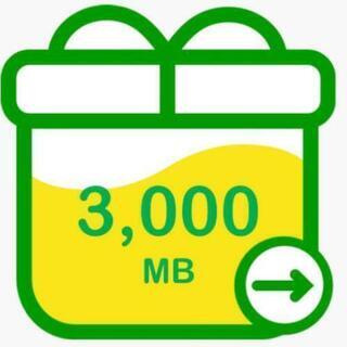 mineoパケット 3G(3000MB)