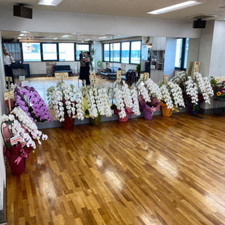 TOMOダンススタジオ神奈川 東急田園都市線高津駅前に新規オープン！！社交ダンス、ヒップホップ、チアダンス等！の画像