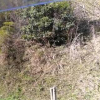 原野、山林、雑木林、竹林、断崖絶壁、島、斜面等の不要な土地を譲っ...