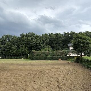 【受付終了】山林物件　茨城県猿島郡境町 - 猿島郡