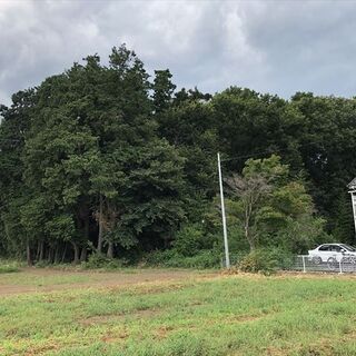 【受付終了】山林物件　茨城県猿島郡境町