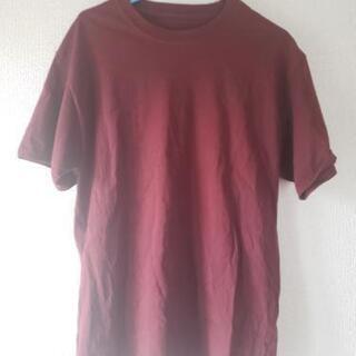 Champion　Tシャツ