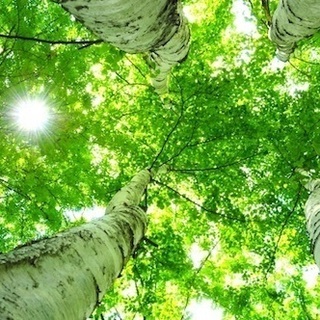 開運できる♪朝のルーティーンで引き寄せアップ!の画像