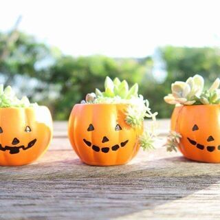 【リマインド】STYLISH  GARDENS　寄せ植え＆ハーバリウム他 販売（mini FLAT-ichi出店）　 - フリーマーケット