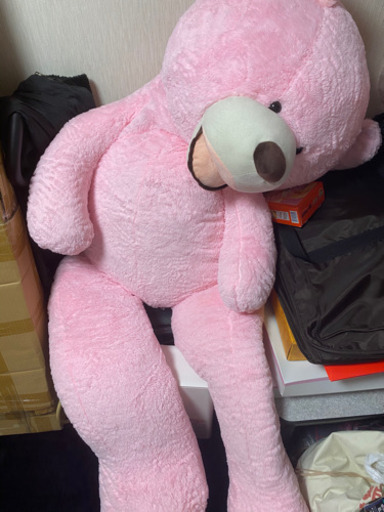 でっかいクマさん