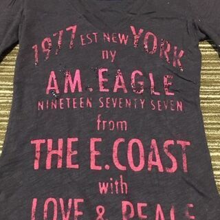 【美品】アメリカンイーグル カットソー　Mサイズ相当の画像