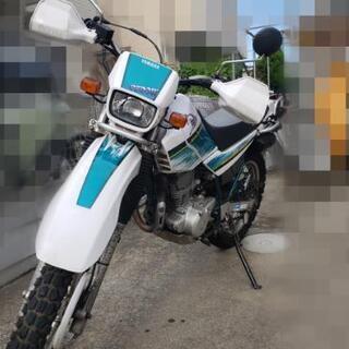 セロー225WE 低走行･山での無茶な使用無し！